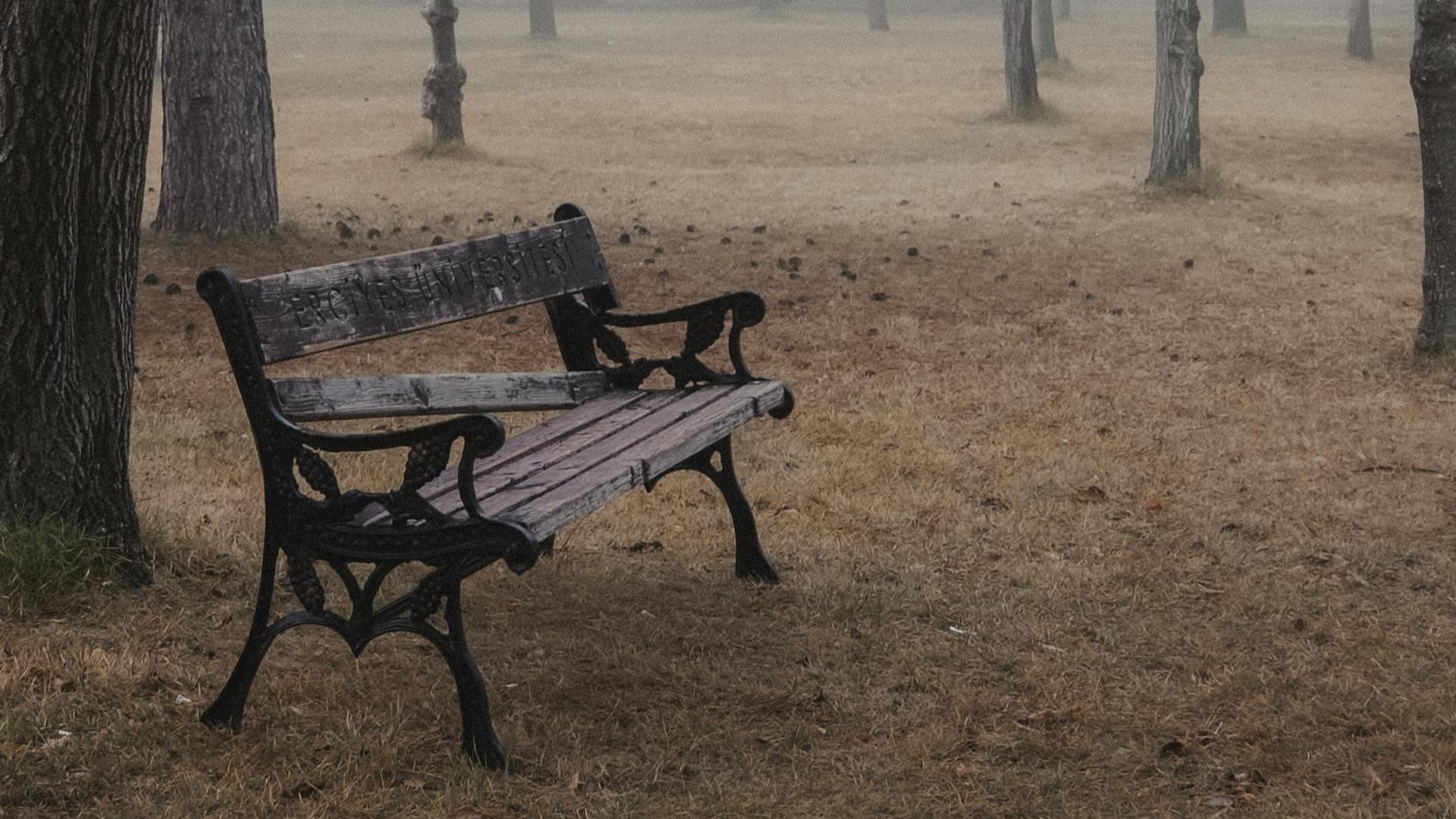koszt utrzymania ławek publicznych