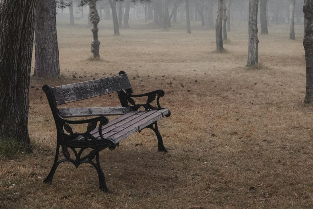 5 błędów, które podnoszą koszt utrzymania ławek publicznych