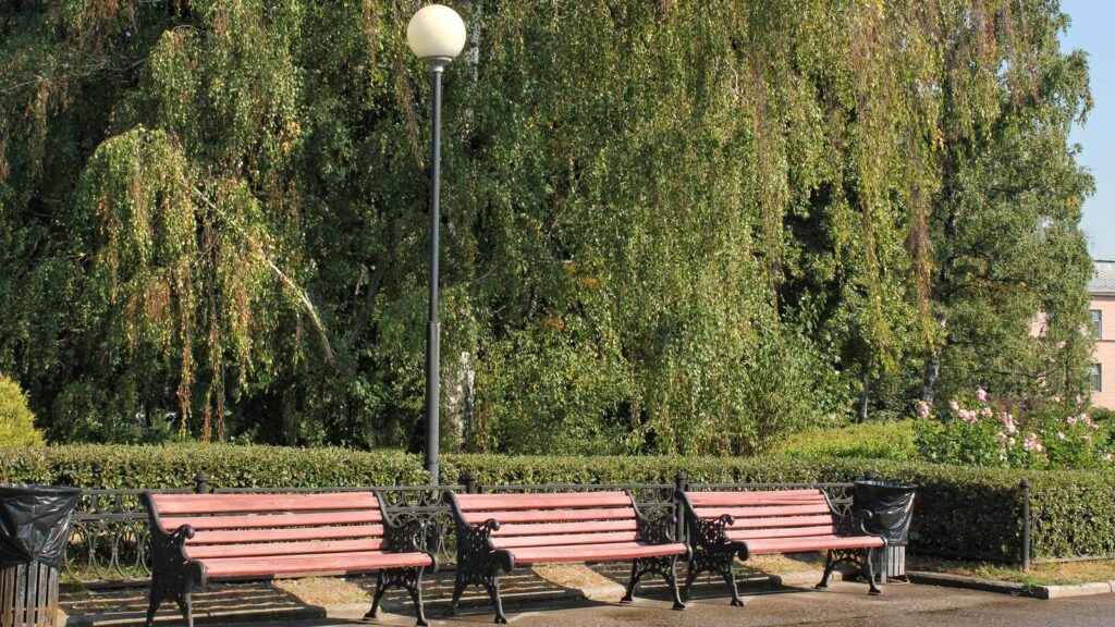 Nowoczesna ławka w parku miejskim – mała architektura wspierająca estetykę i funkcjonalność przestrzeni publicznej.